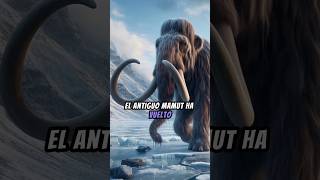 El mamut lanudo ha vuelto mamut preshistoria ciencia [upl. by Starobin614]