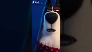 Opening To The Secret Life of Pets On Nickelodeon June 11th 2023 [upl. by Patrizius]