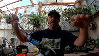 Spring fishing tips for pond bass fishing [upl. by Alaecim665]