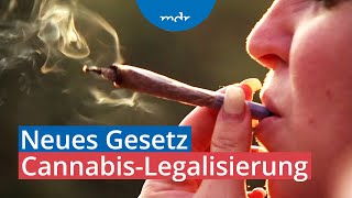 CannabisLegalisierung Justiz müsste alte Strafverfahren aufrollen  MDR THÜRINGEN JOURNAL  MDR [upl. by Aieki133]