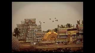 SRIRANGAM VAIKUNTA EKADASI [upl. by Ilonka]