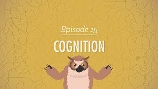 Cognition  How Your Mind Can Amaze and Betray You Crash Course Psychology 15 [upl. by Rina156]