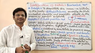 Microbiology 51  Identification of Bacteria Part06 Biochemical  Indole Production Test Method [upl. by Pang996]