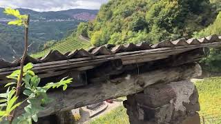 I vigneti terrazzati della Val di Cembra [upl. by Oriaj771]