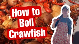 HOW TO BOIL CRAWFISH  SIMPLE EASY AND DELICIOUS [upl. by Atirabrab3]