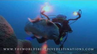 THE WORLDS BEST DIVE DESTINATIONS [upl. by Gwynne463]