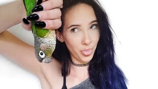 Is A Green Cheek Conure The Right Beginner Parrot For You [upl. by Amalea]