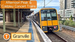 Transport for Sydney Vlog 898 Granville Station  Afternoon Peak amp Coldplay Concert Trains [upl. by Cassiani]