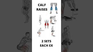 Calf Raises Workout for Calf muscles [upl. by Congdon]