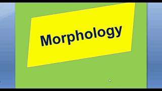 Morphology  lesson 2 Free Morphemes and Bound Morphemes [upl. by Demetrius]