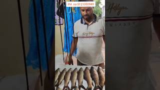 Catching Rohu Fish by the Truckloadfishing [upl. by Enerod800]