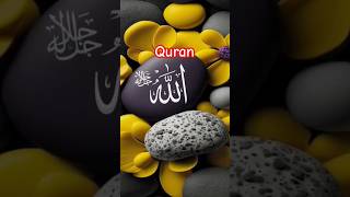 Surah Ahqaf ayat 1516 urdu translationquran islamicshorts [upl. by Nilam]