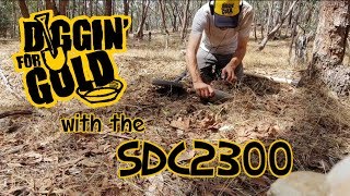 Shallow Workings with the SDC2300  Aussie Gold Prospecting [upl. by Noxaj]