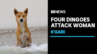 Woman attacked by four dingoes on Kgari Fraser Island  ABC News [upl. by Yenhoj]