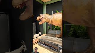 Triceratops vs Tyranosaurus jurassicpark jurassicworld dinosaur dinosaurs [upl. by Margaretta]