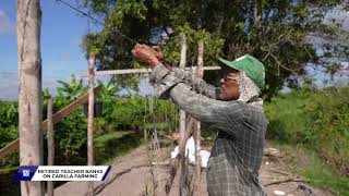 RETIRED TEACHER BANKS ON CARILLA FARMING [upl. by Lunseth580]