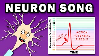 THE NEURON SONG [upl. by Odrarej]