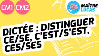 Dictée  distinguer sanssen cese cestsest cesses CM1  CM2  Cycle 3 FrançaisOrthographe [upl. by Cannell217]