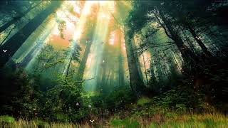 Native American Flute ┃Forest Nature Sounds┃ Relaxing┃ Music Meditation [upl. by Netsua688]