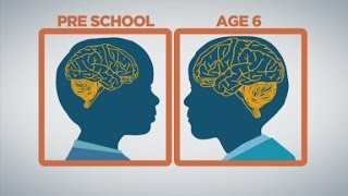 How baby brains develop [upl. by Ettenot584]