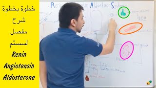 شرح مفصل خطوة بخطوة لسستم Renin Angiotensin Aldosterone [upl. by Ahsoik]