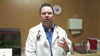 Cat Care Fleas amp Parasites  What Medication Is Used to DeWorm a Cat [upl. by Ahsieken]