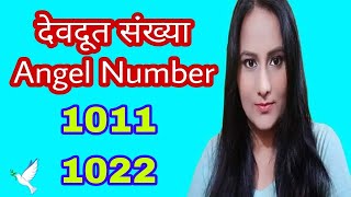 देवदूत संख्या 1011 amp 1022 Angel Number 1011 amp 1022 ऐन्जल नंबर 1011 amp 1022 🦚Plus Oracle💛 [upl. by Bannon]