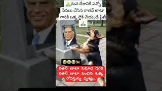 Miss you Ratan Tata sirdog Emotional viral short [upl. by Idok]