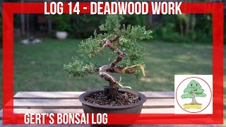 Bonsai Log  14  J procumbens Nana Deadwood Work [upl. by Erialcyram]