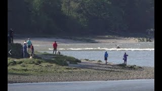 The Arnside Tidal Bore 19 Sept 2020 [upl. by Kciredohr966]