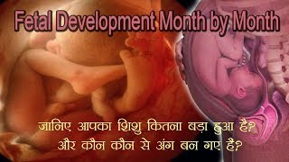 Month by Month Baby Development हरेक महीने आपका शिशु ऐसे बढ़ता है [upl. by Basset]