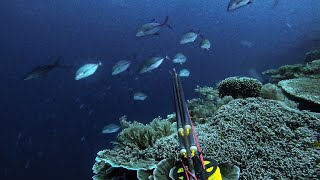 BLUES ON THE SHALLOWS  TREVALLIES SHOTS COMPILATION  SPEARFISHING PHILIPPINES [upl. by Dietz]