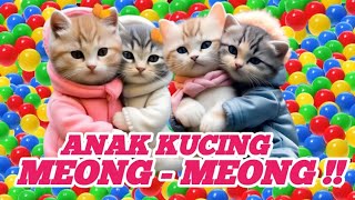 TAHAN TAWA😂 9 Menit Video Kucing Lucu Banget Bikin Ngakak Terbaru 2023  Kucing Tiktok Lucu [upl. by Khoury673]