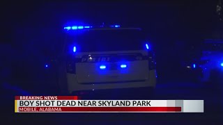 Boy killed in shooting near Skyland Park Mobile police [upl. by Madra]