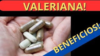 BENEFICIOS DE LA VALERIANA CONTROLA TU ESTRÉS CON ESTA PLANTA [upl. by Akinohs489]