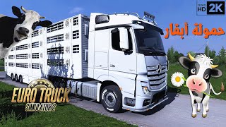 محاكي الشاحنات الاوروبية Mercedes Benz TruckPEZZAIOLI LIVESTOCK TRAILER [upl. by Nel872]