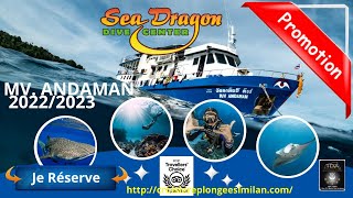 🚤MV Andaman Sea Dragon bateau de croisière de plongée aux iles Similans Thailand Diving Pattaya [upl. by Nybor898]