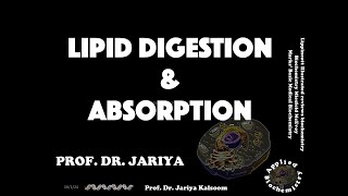 LIPID DIGESTION amp ABSORPTION [upl. by Ardnohsed69]