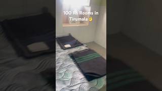 😱100 Rs Rooms In Tirumala👌Best Rooms to Stay👍tirumala shorts tirupati [upl. by Nueovas]