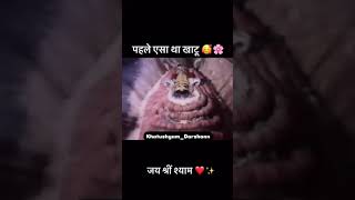 पहले ऐसा था खाटू श्याम 🥰🌸trending short [upl. by Einra]