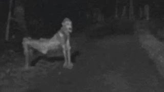 Recent NM skinwalker photo ignites fear [upl. by Sirrep419]