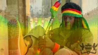 Reggae Mix Roots Roots By Iron Heart Sound amp Chessman Records [upl. by Aitra]