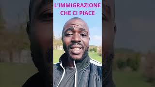 L’IMMIGRAZIONE CHE CI PIACE [upl. by Hansen]