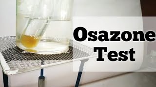 Osazone Test  for reducing sugars  Biochemistry practical [upl. by Suolhcin]