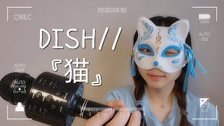 DISH  猫Neko Cover By 권여울 [upl. by Llecrup]