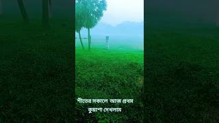 শীতের কুয়াশাmmorning winter Surah Rahman shortvideo trending viralvideos [upl. by Anazus]