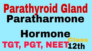 Parathyroid GlandParatharmone hormones and their functionsTGTpgtbiologyNEET Biologyclass12 bio [upl. by Jamaal]