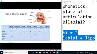 Articulatory phonetics  Consonants by Place of articulation linguistics [upl. by Murtha]