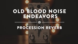 Old Blood Noise Endeavors Procession Reverb  Reverb Demo Video [upl. by Nnaeerb260]