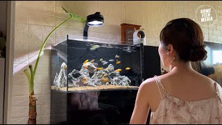 Stunning Underwater World Explore the Beauty of a Planted Aquarium 72 [upl. by Hebrew]